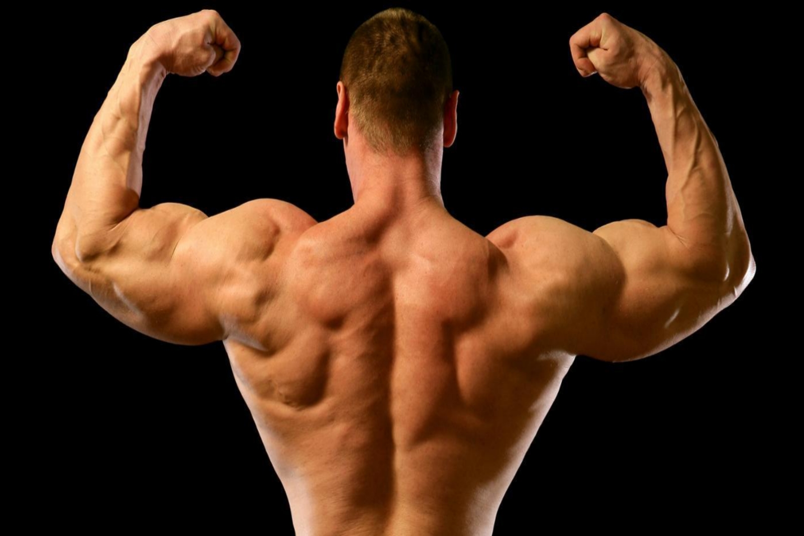 Transform 3 Percent Free Shoulder Workout Course